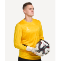 Вратарский свитер JÖGEL DIVISION PerFormDRY GK Splash, желтый